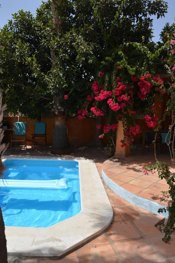 Apartamento Con Jacuzzi Y Terraza Con Opcion A Piscina Privada Almuñécar Kültér fotó